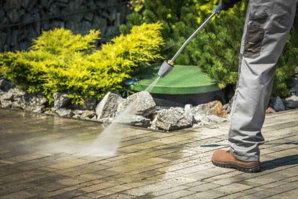 Best Solar Panel Cleaning  in Montgomery, MN