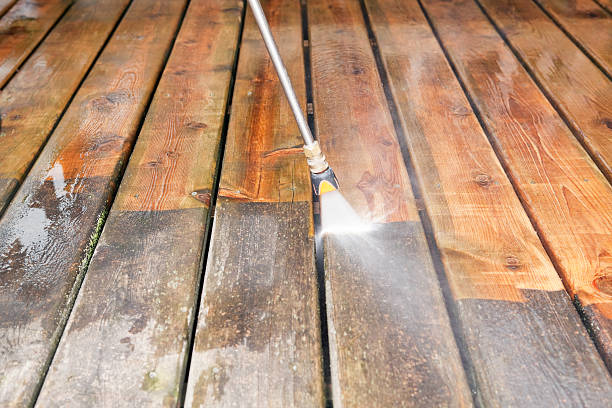Best Sidewalk and Walkway Cleaning  in Montgomery, MN